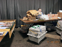 The CFA Intertional Cat Show